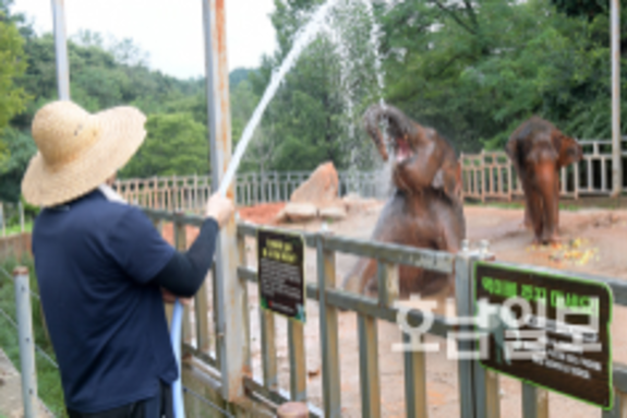 광주·전남 '한 달 빠른 무더위'… 기록적 폭염·폭우
