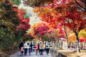 전남도 추천 '단풍길 따라 떠나는 낭만 여행지'