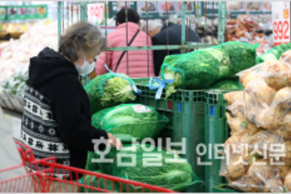 김장재료 가격 엇갈려… 무는 하락·배추는 반등