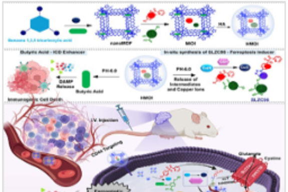 전남대, 암 치료법 개발… 암세포 내부서 항암제 합성