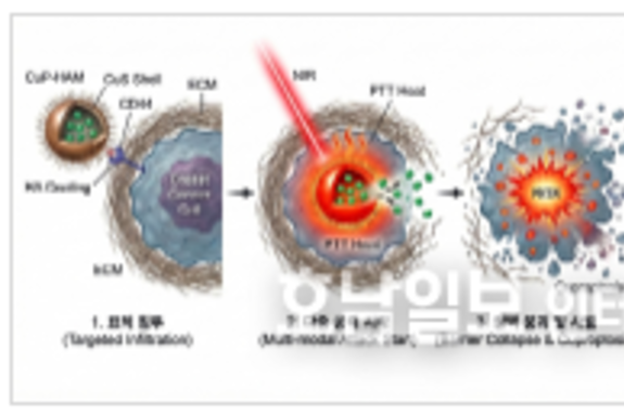 전남대 연구팀, 난치성 '삼중음성 유방암' 치료법 개발